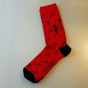 🌱NWOT zodiac socks🌱